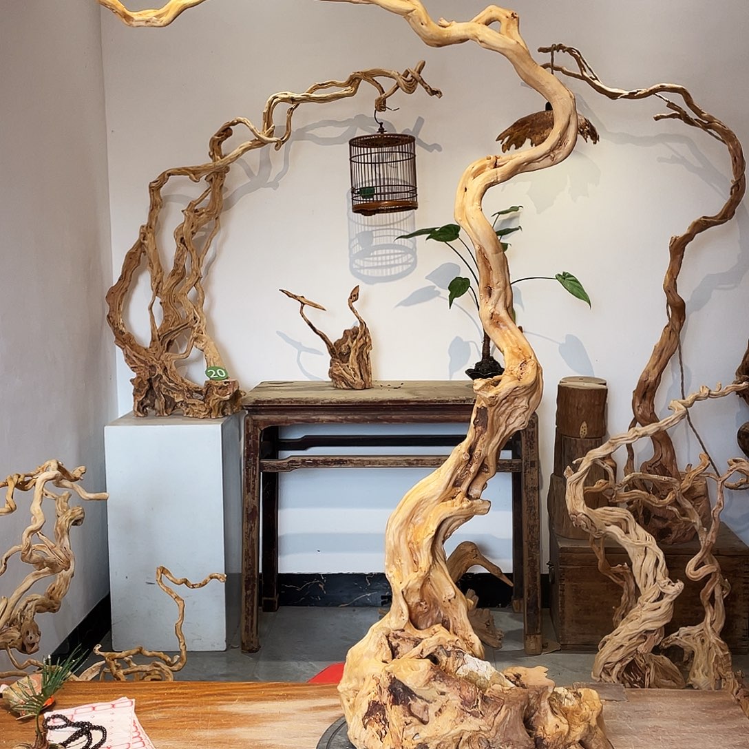 T***辰天然根雕陶制艺术品