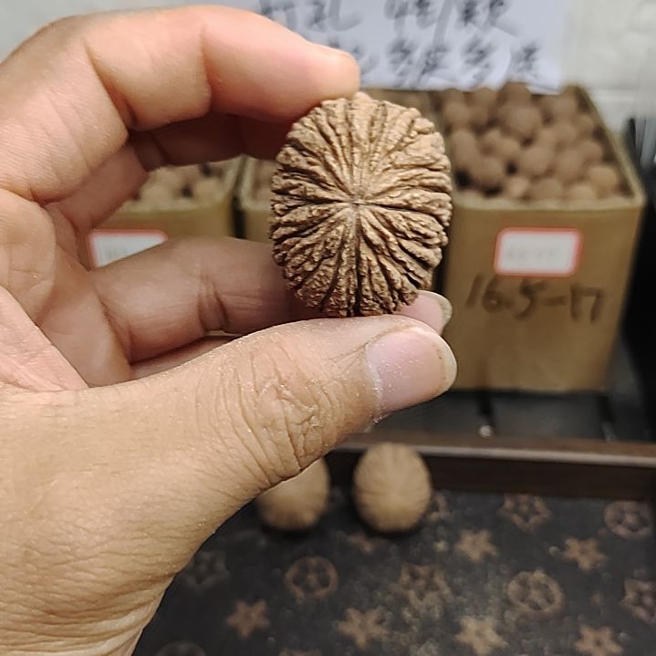 手串猴头核桃阿*猴头手把件