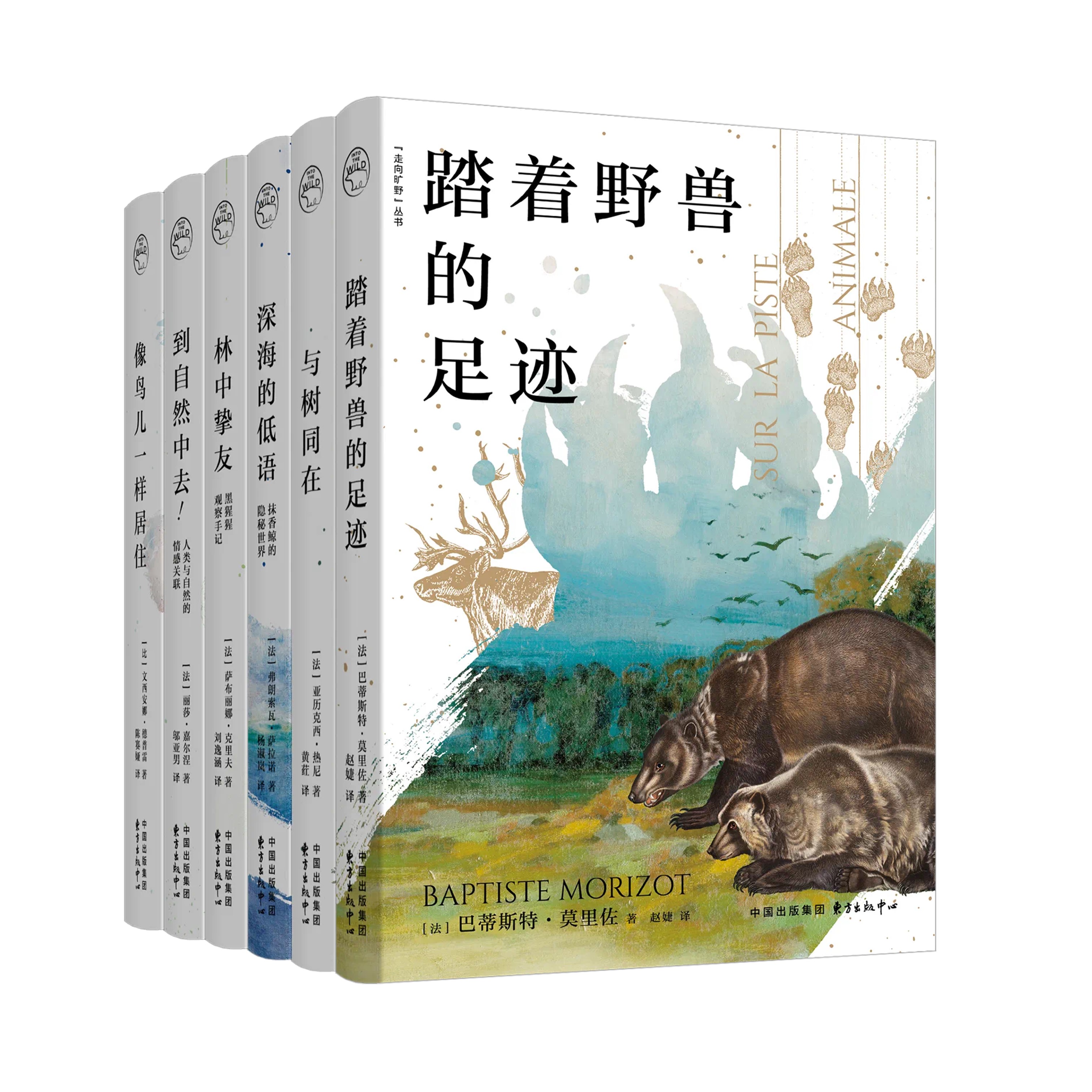 【走向旷野 | Into the Wild】系列丛书（共6本）
