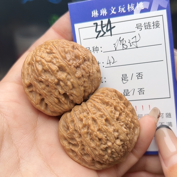 文玩核桃吊坠核桃树354