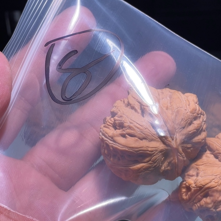 文玩核桃吊坠8呃呃呃