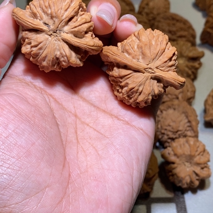 辉***哥手串/手链核桃朱雀