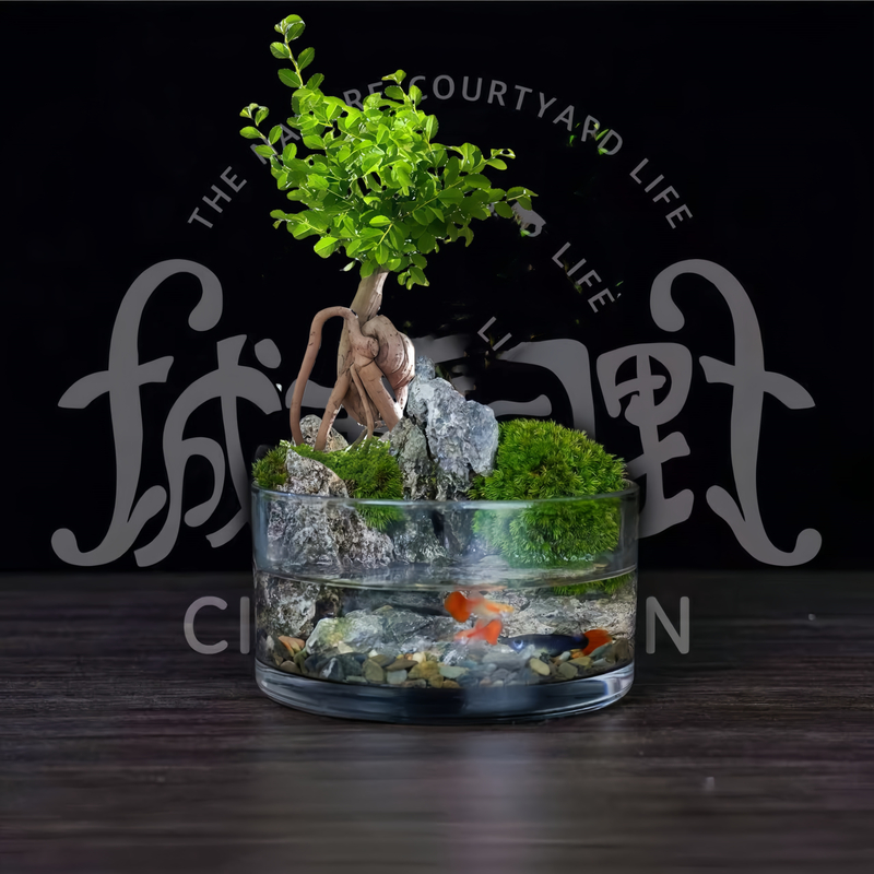 【老桩榆树】15*8苔藓微景观生态瓶禅意绿植盆栽室内造景懒人植物