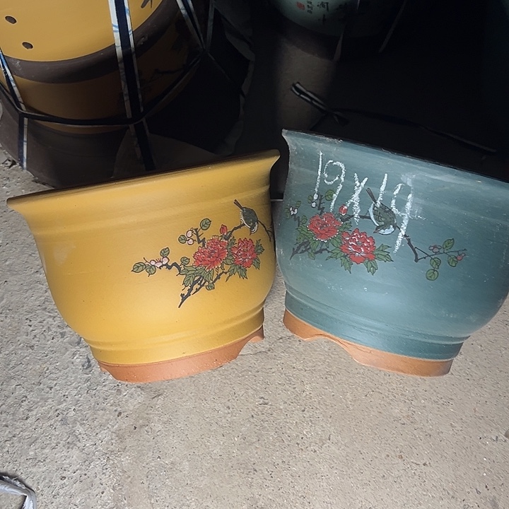 周深周深周深周深周深  