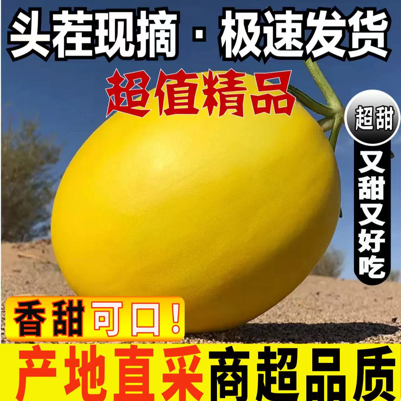 【产地直发】甘肃民勤头茬蜜瓜金红宝甜瓜黄金蜜瓜当季新鲜沙漠蜜瓜