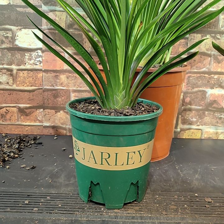 完全开放1111111111