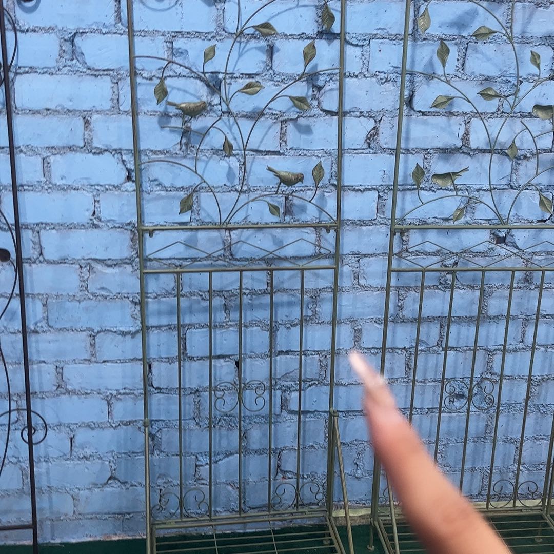 孤品给力炸炸炸炸炸炸