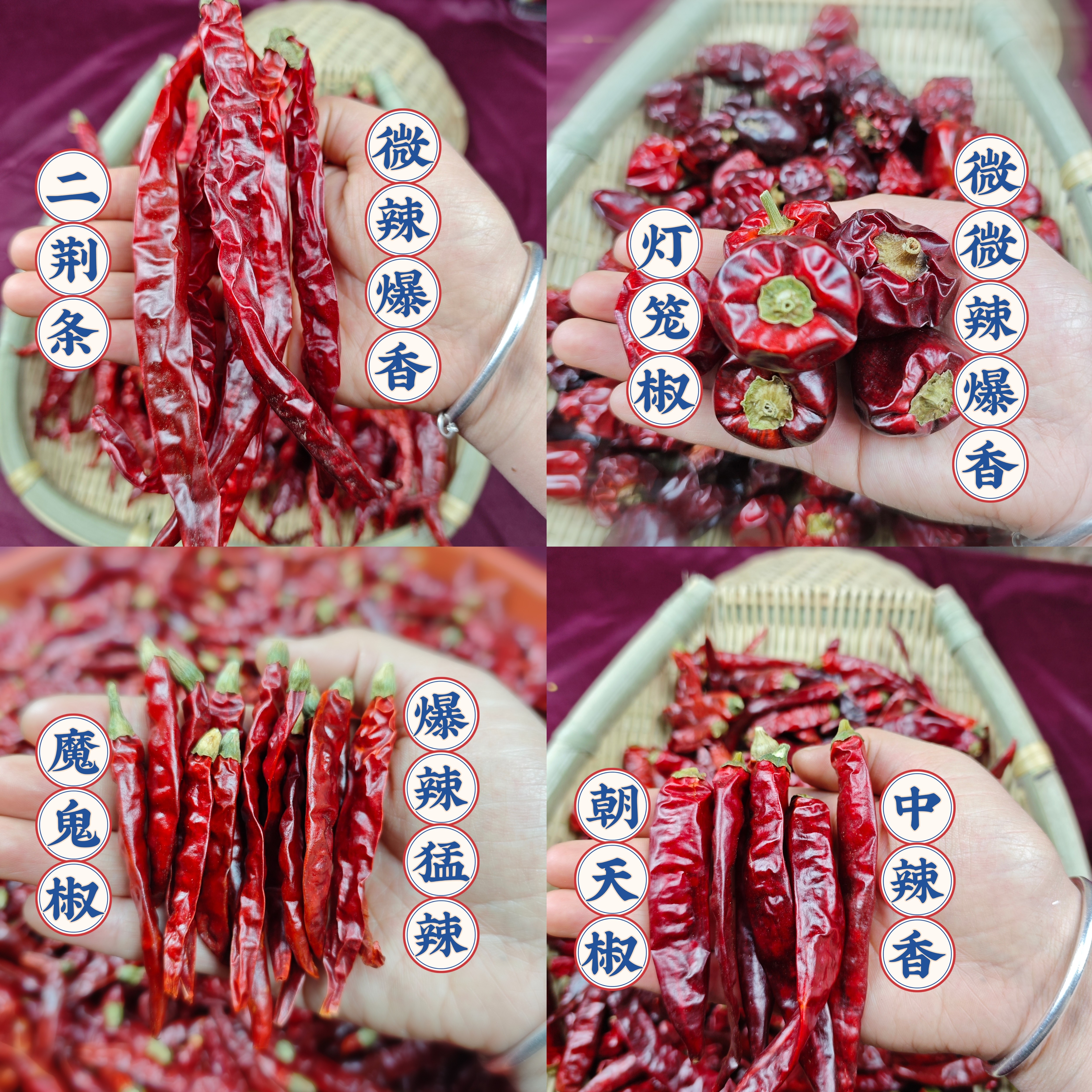 二荆条干辣椒新货炒菜必备干红辣椒贵州正宗干辣椒