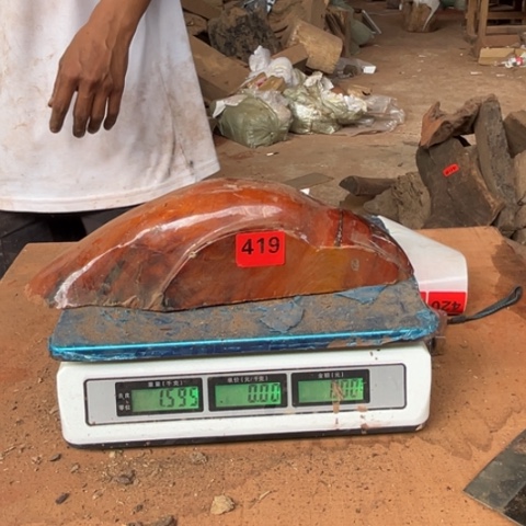 大果紫檀（缅甸花梨）