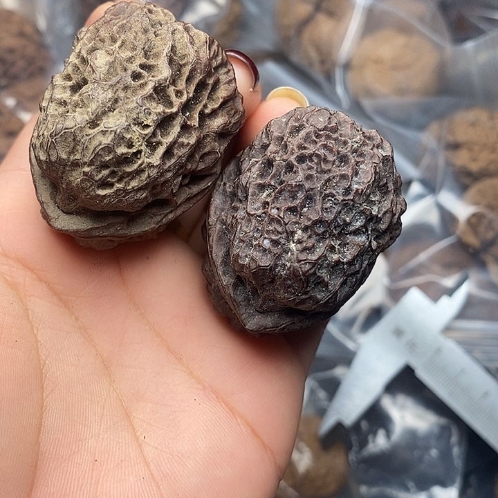 把件文玩核桃18号42mm