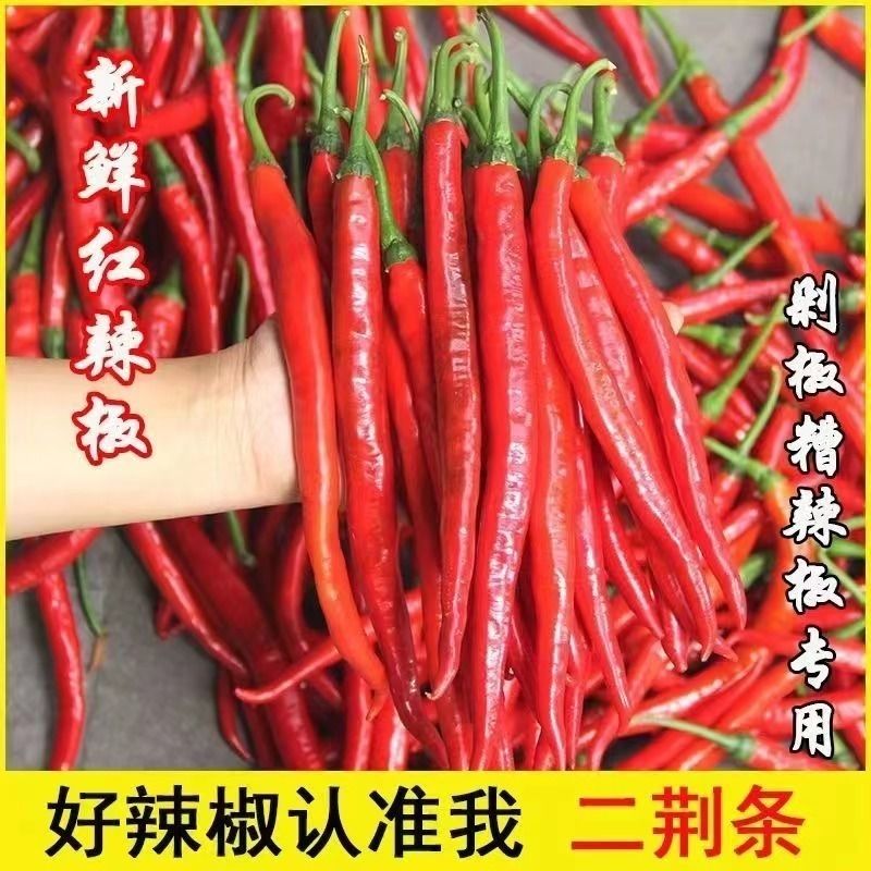 红辣椒新鲜红线椒红二荆条贵州本地红海椒中辣香辣做剁椒辣椒酱