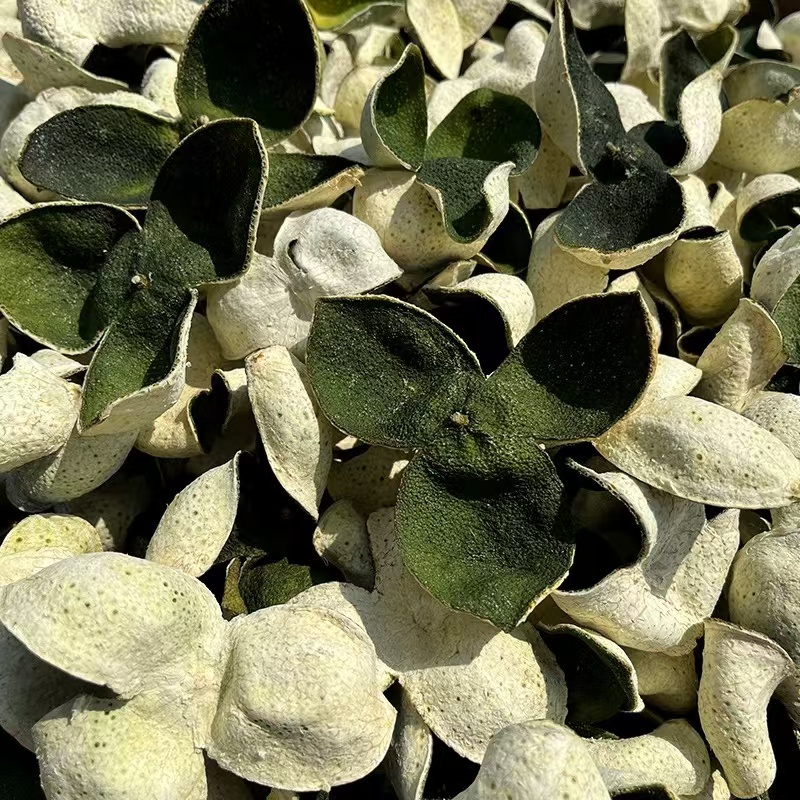 2025年梅江圈枝青皮正宗新会陈皮泡水送礼（500g）