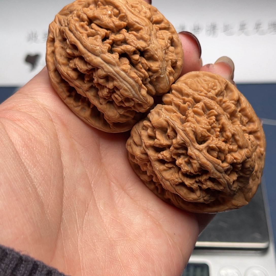 文玩核桃把件粗筋43