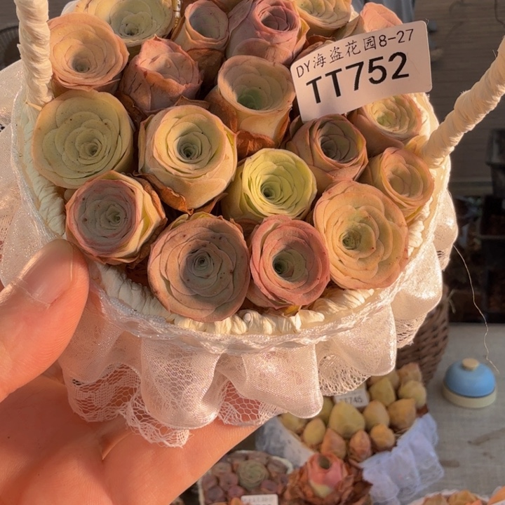TT752 蕾丝花篮玫瑰组合