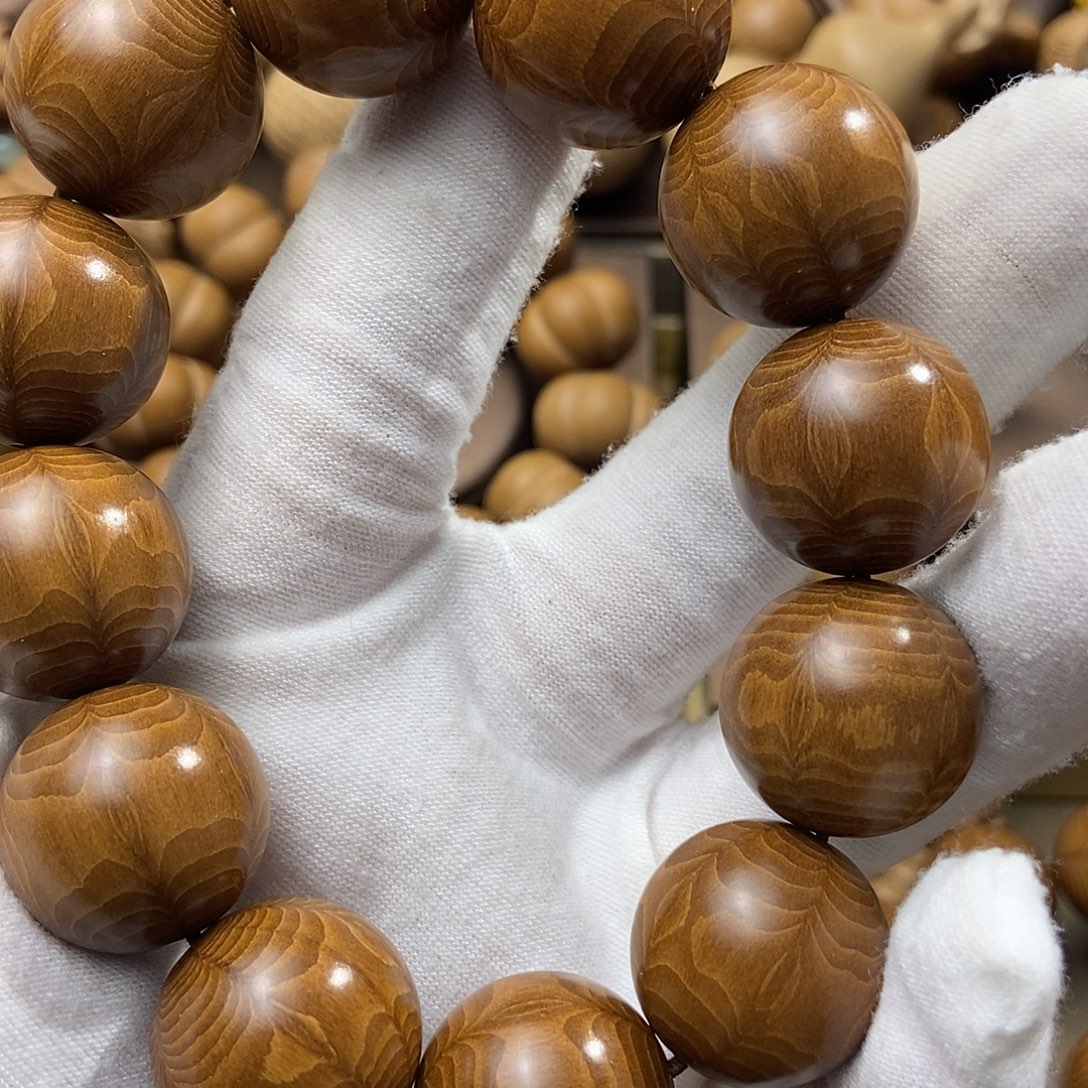 诸***相六道木山西五台山