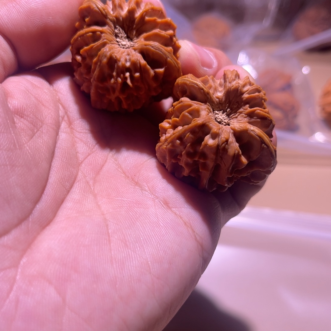 大叶紫檀（黑酸枝木类）龙门