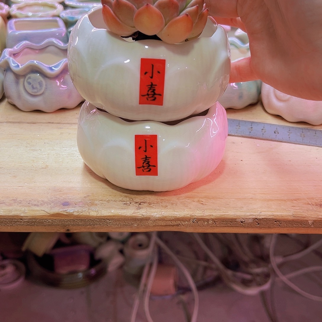陶瓷花盆当场凑满12包邮