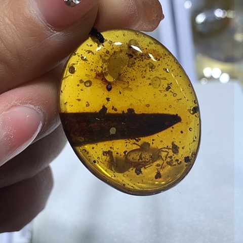 琥珀颈饰未镶嵌大叶子与大蜱虫吊坠