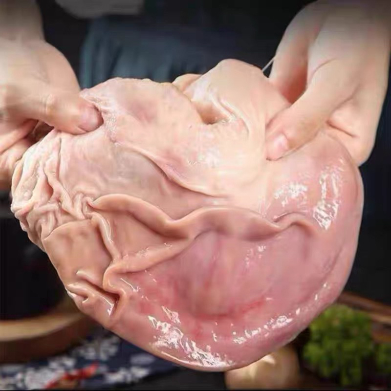 新鲜现杀特厚农家土猪肚煲汤食材营养丰富