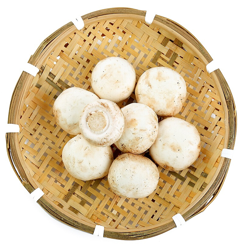 缤纷田园白蘑菇 约230g