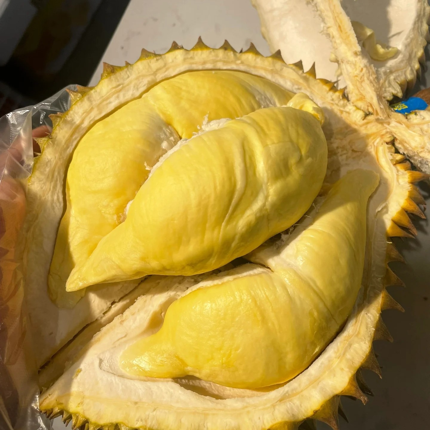 （掉水分10%-15%属于正常范围）泰国金枕鲜榴莲 核小3-5斤 保4房 顺丰包邮榴莲同城配金枕泰国东部