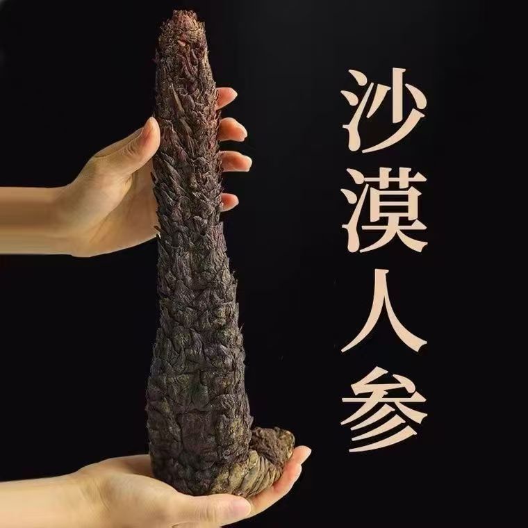 【叶主任推荐】阿拉善高含量 肉苁蓉 搭配枸杞泡水