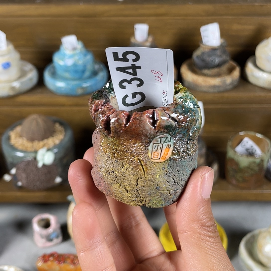 坛子姐花盆 小白孤品 内口3