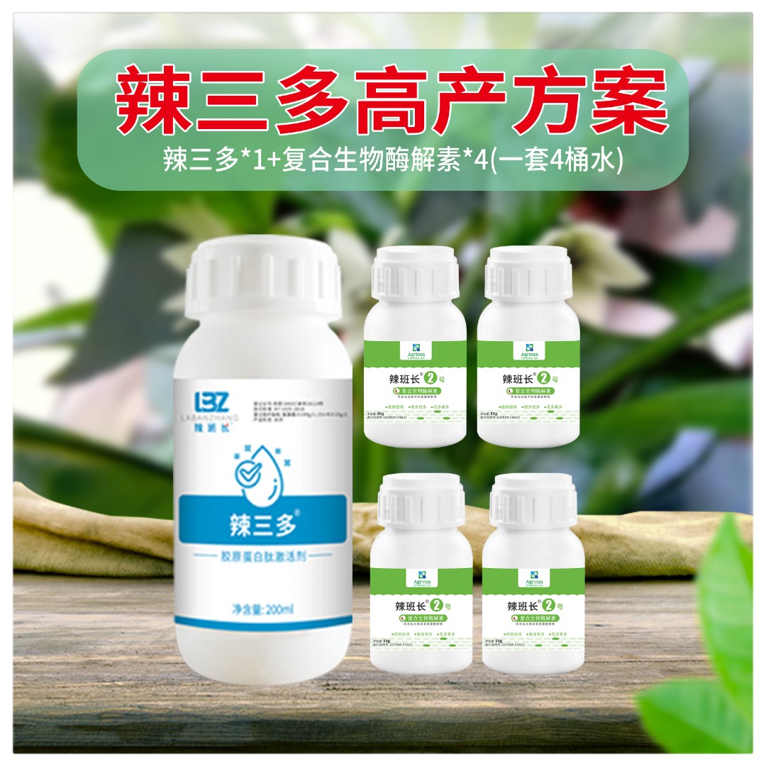 辣班长辣三多叶喷组合含氨基酸多元素作物增产叶面肥