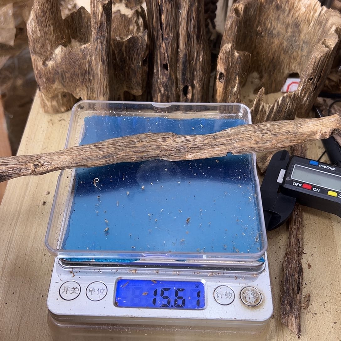 香料绿奇楠虫漏15克乌身