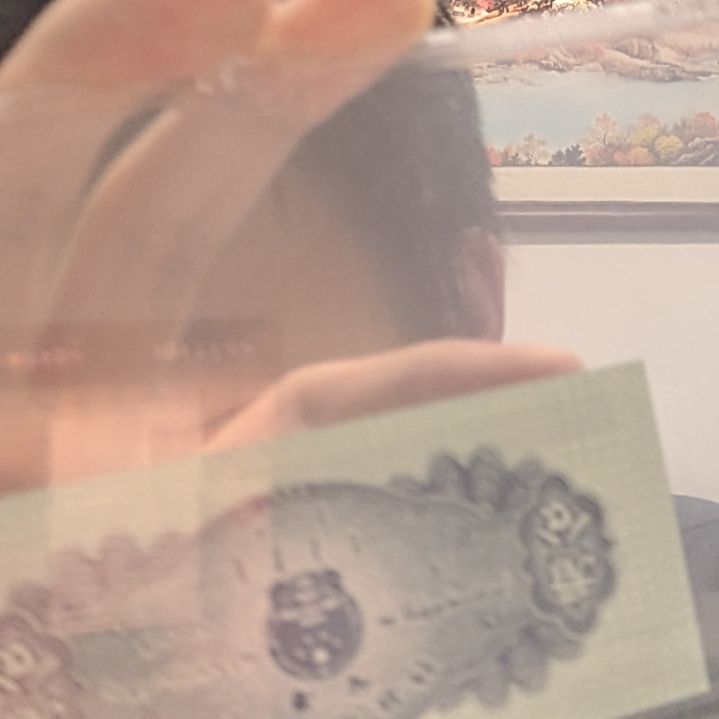 年兽（号码随机发货）纸币评级币