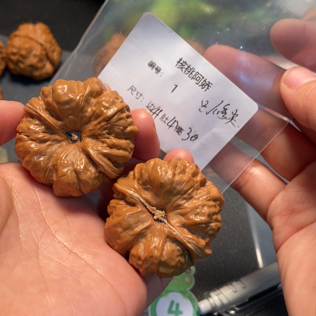 文玩核桃吊坠蛤蟆