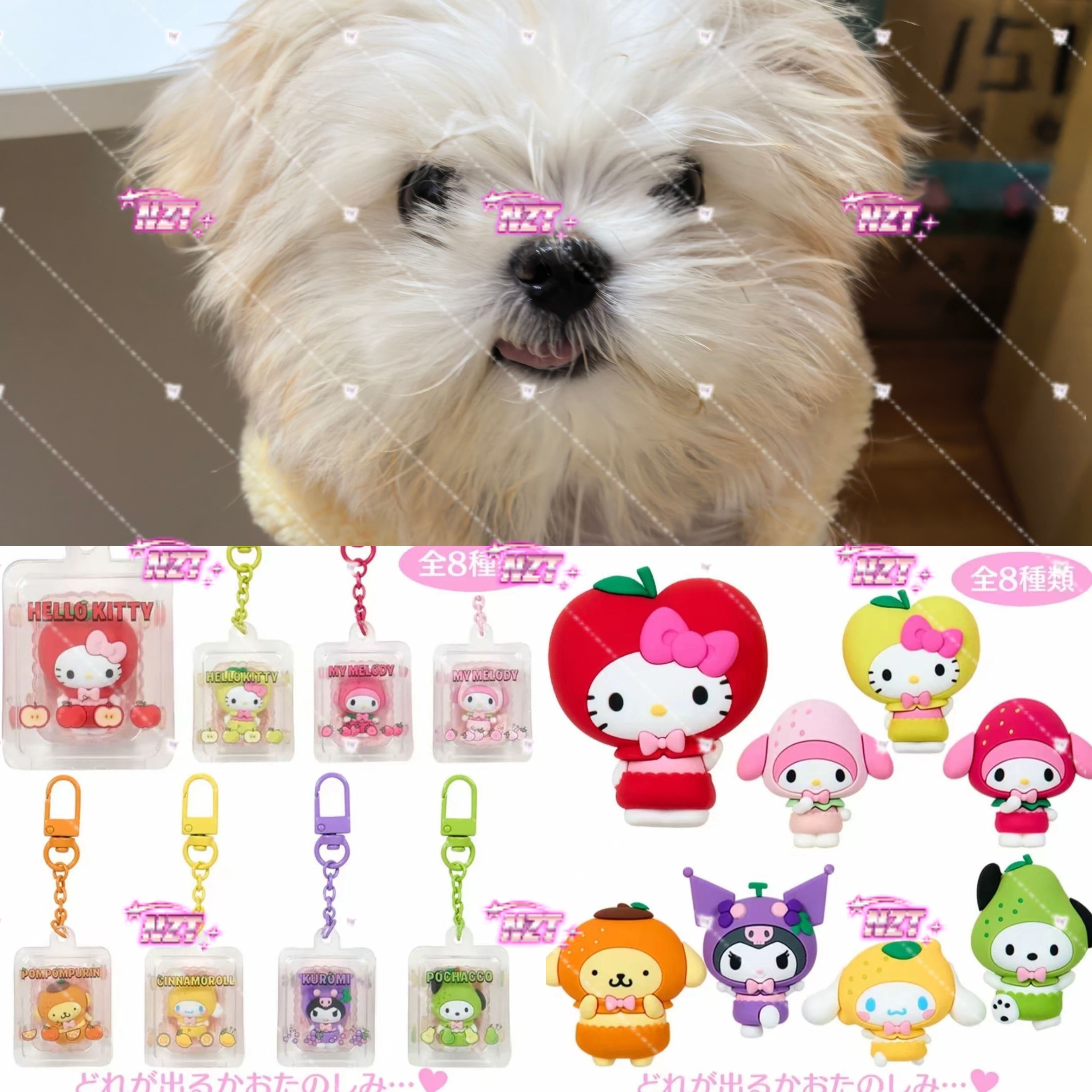 三丽鸥水果变装冰箱贴挂件 全8种 日版正版动漫周边