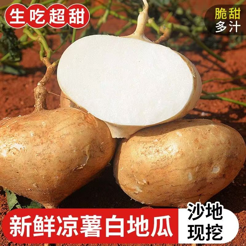广西凉薯白地瓜新鲜现摘沙葛当季新鲜蔬菜豆薯皮薄肉厚脆甜多汁
