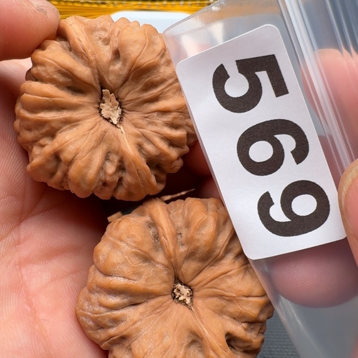 文玩核桃把件W**l蛤蟆43