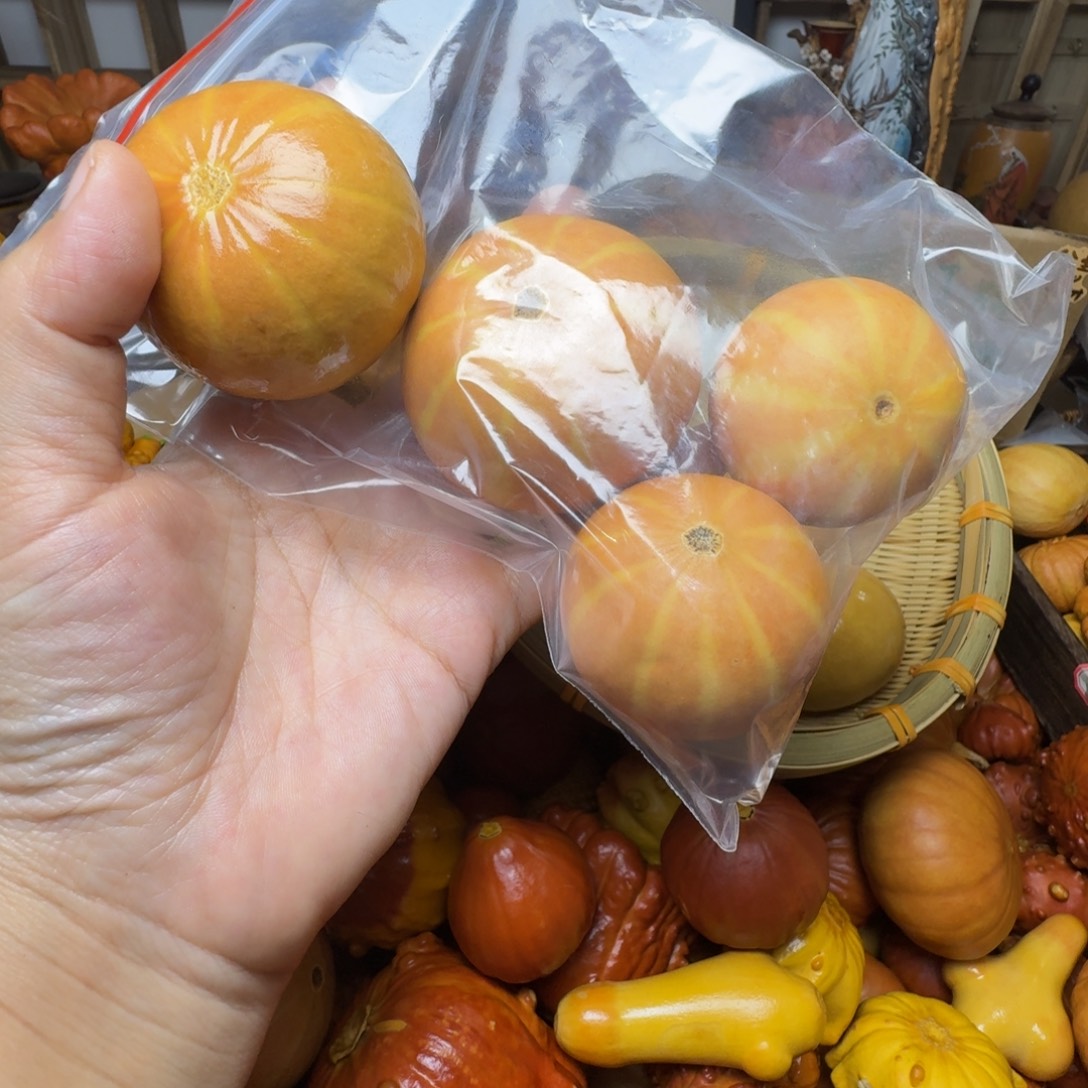 黎***茉特价葫芦不退不换