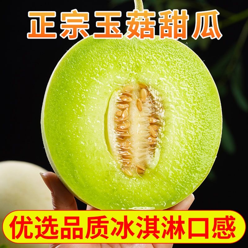 头茬DT山东玉菇甜瓜冰淇淋甜瓜软糯香甜应季水果香瓜现摘现发5斤