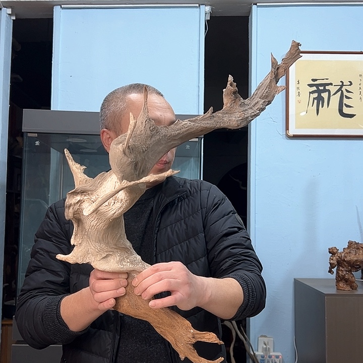 柏木秦*馆我们都是好孩子呀我也是想