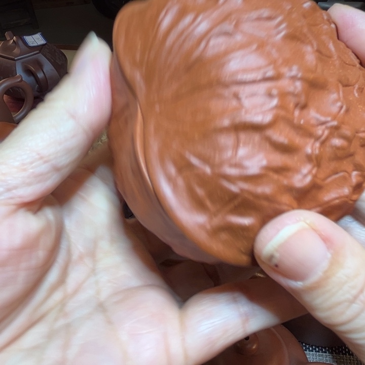 逐***雄红泥茶壶作品欣赏