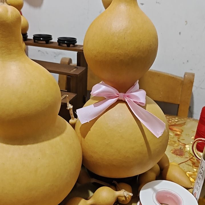 @***舒蚂蚁葫芦蚂蚁葫芦