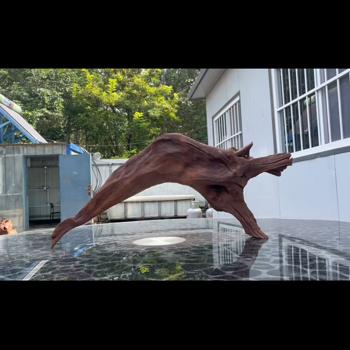 尺寸68×15×28 鱼缸造景沉木摆件，紫柚木，秒沉水，一木成景，包煮