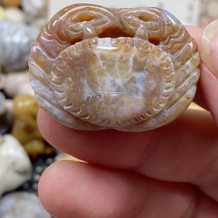 颈饰未镶嵌硅化珊瑚（珊瑚玉）有瑕