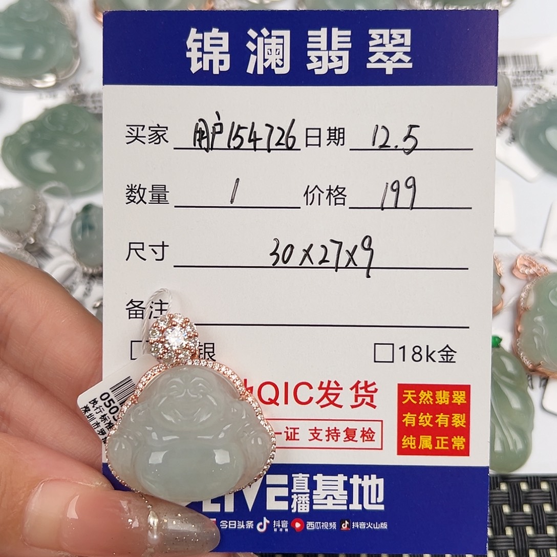 用***8翡翠银S925镶嵌颈饰