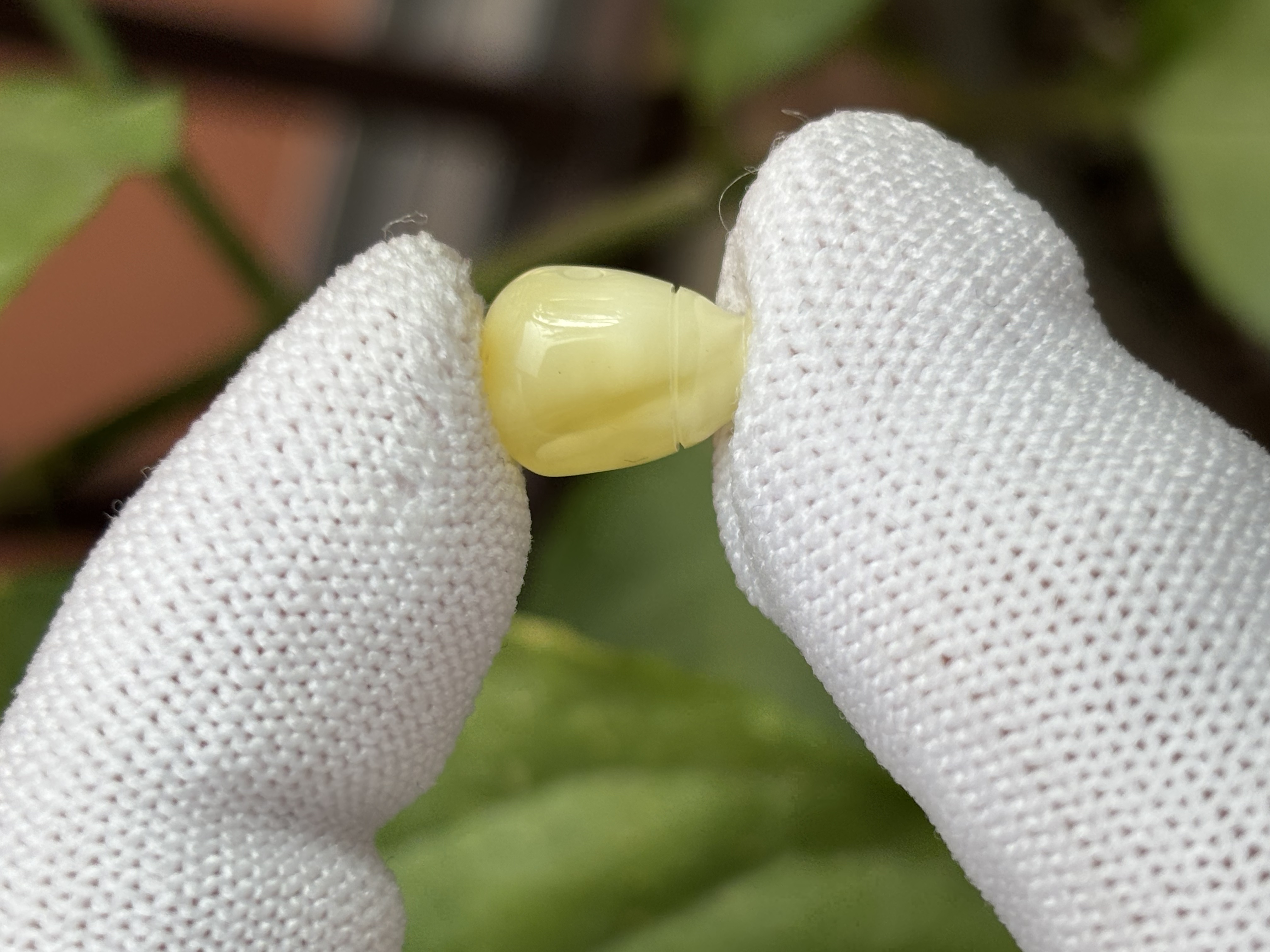 4604天然蜜蜡琥珀三通配饰8.9x12.4x8.4mm