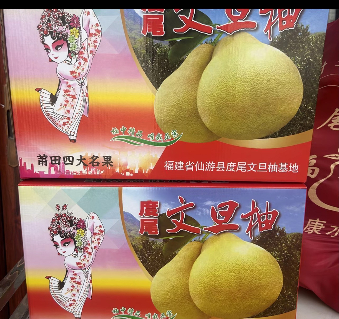度尾文旦柚红心柚福建仙游度尾30年老树岩柚新鲜送礼佳品礼盒装