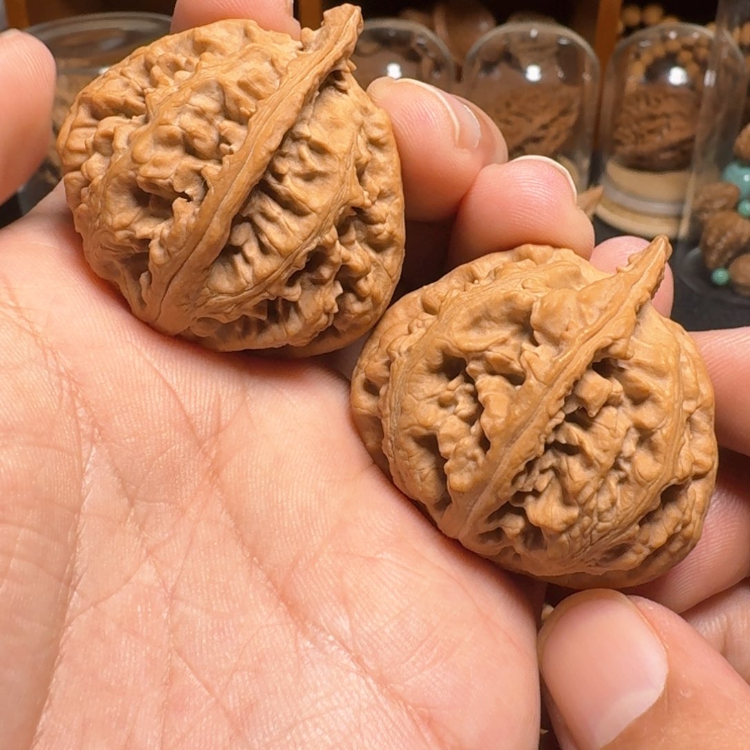 文玩核桃把件42肚大肚红灯笼