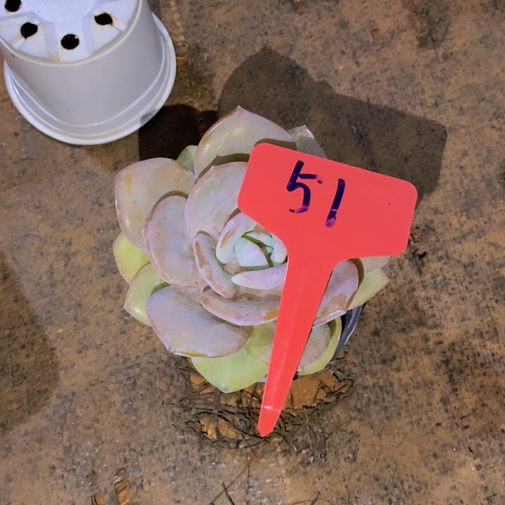 睿***贝在家干吗你现在到哪儿我