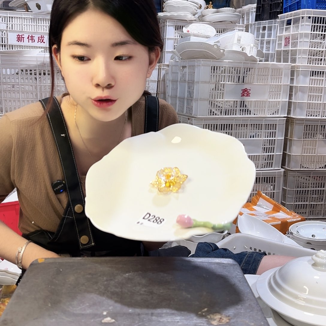 盘微瑕产品………D288一个