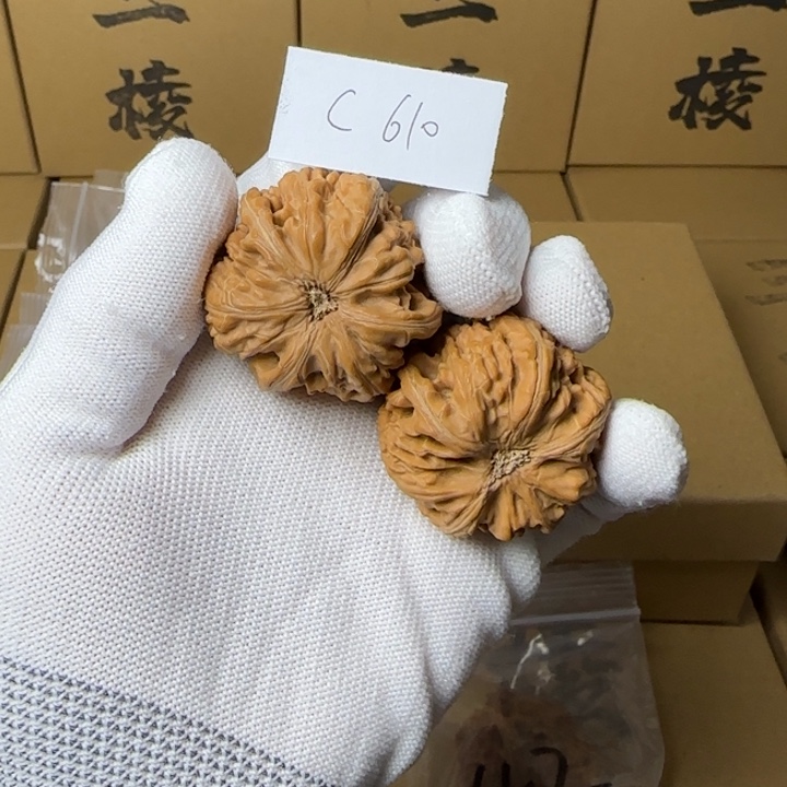 文玩核桃吊坠简单包装40尺玉龙三棱