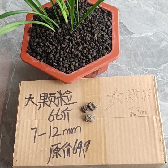 好***的兰菌黑山土大颗粒6.6斤