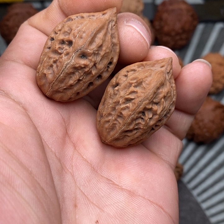 文玩核桃把件野生